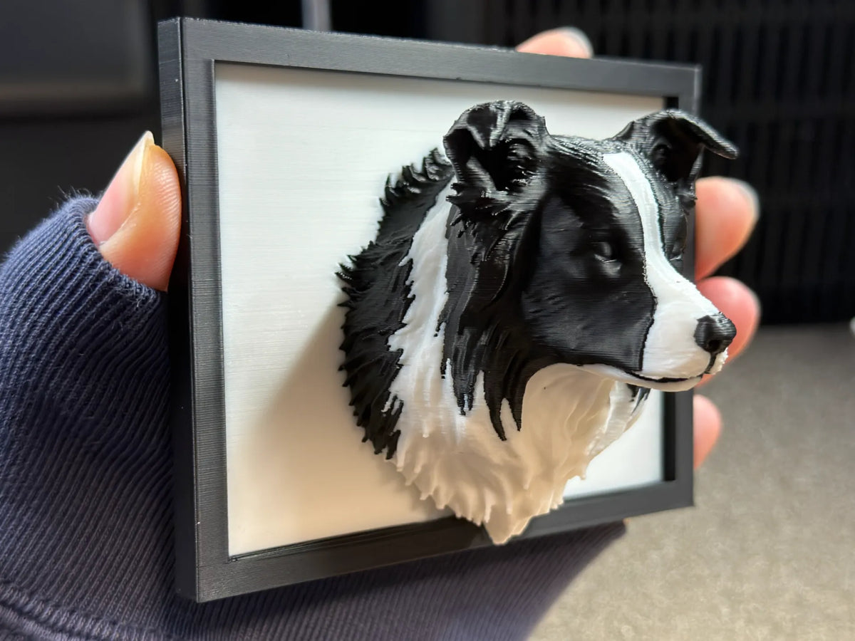 Décoration murale 3D Border Collie - Portrait en bas-relief - Pet Print