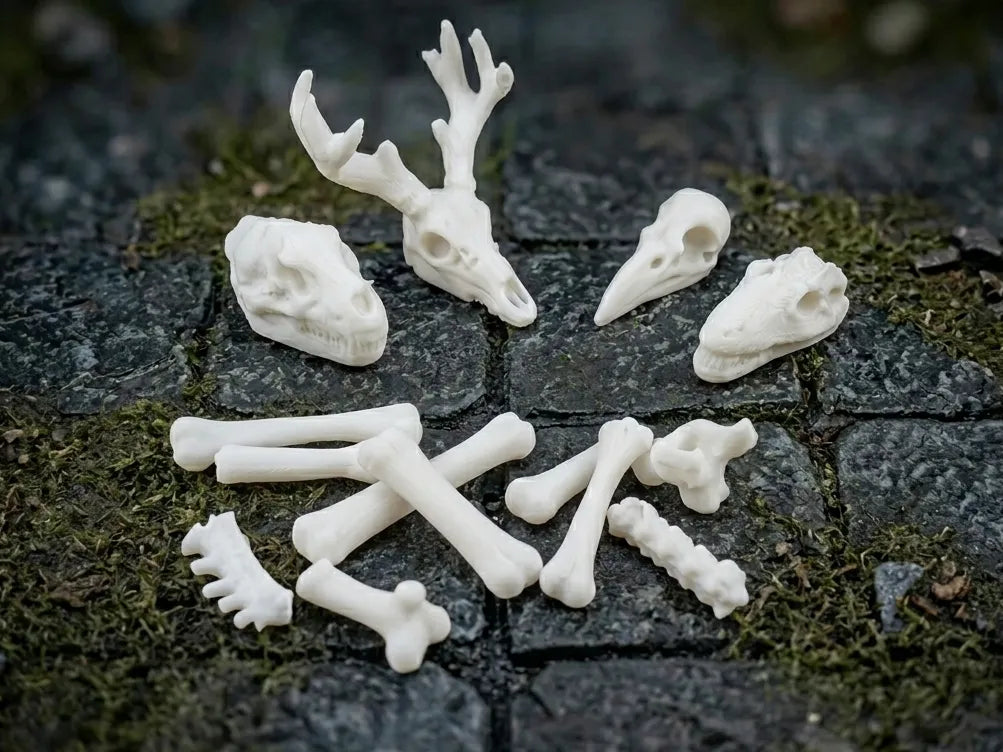 Os et crânes d'animaux miniatures - Terrain dispersé - Maquette Print