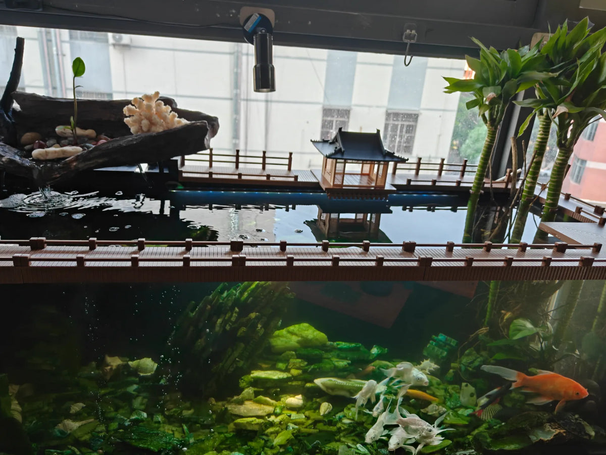 Bordure anti-sauts pour aquarium - Pet Print