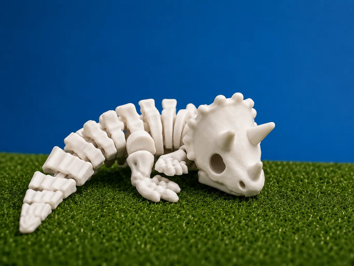Squelette de Tricératops Articulé Flexible - Maquette Print