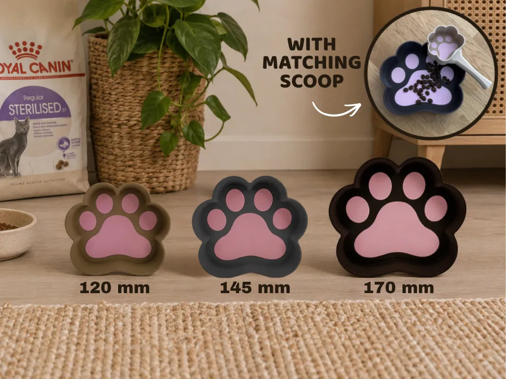 Gamelle pour animaux – Design Patte - Pet Print