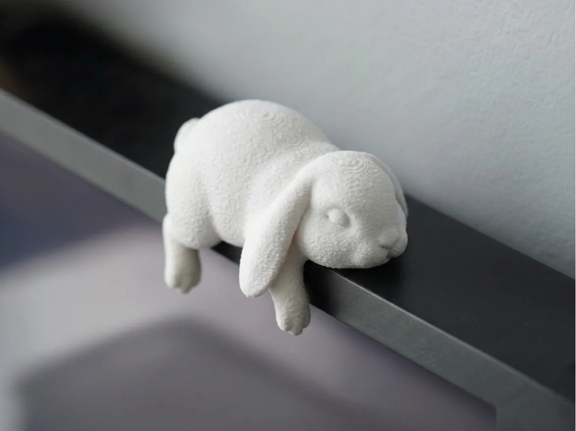 Mignon lapin endormi - Compagnon de moniteur - Figurine Print