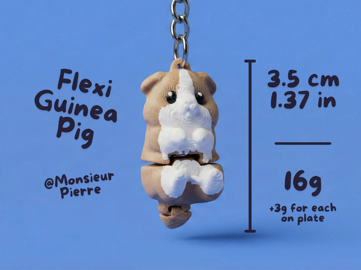 Cochon d'Inde Flexi – Mignon Imprimé 3D Articulé - Pet Print