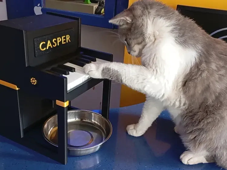 Distributeur de friandises interactif pour chat piano - Pet Print
