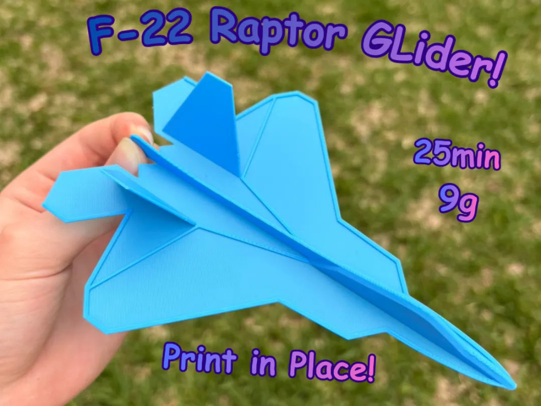 Planeur F-22 Raptor – modèle 2 - Maquette Print