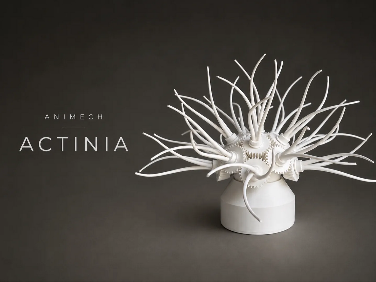 Animech Actinia - Anémone à engrenages cinétiques - Art Print