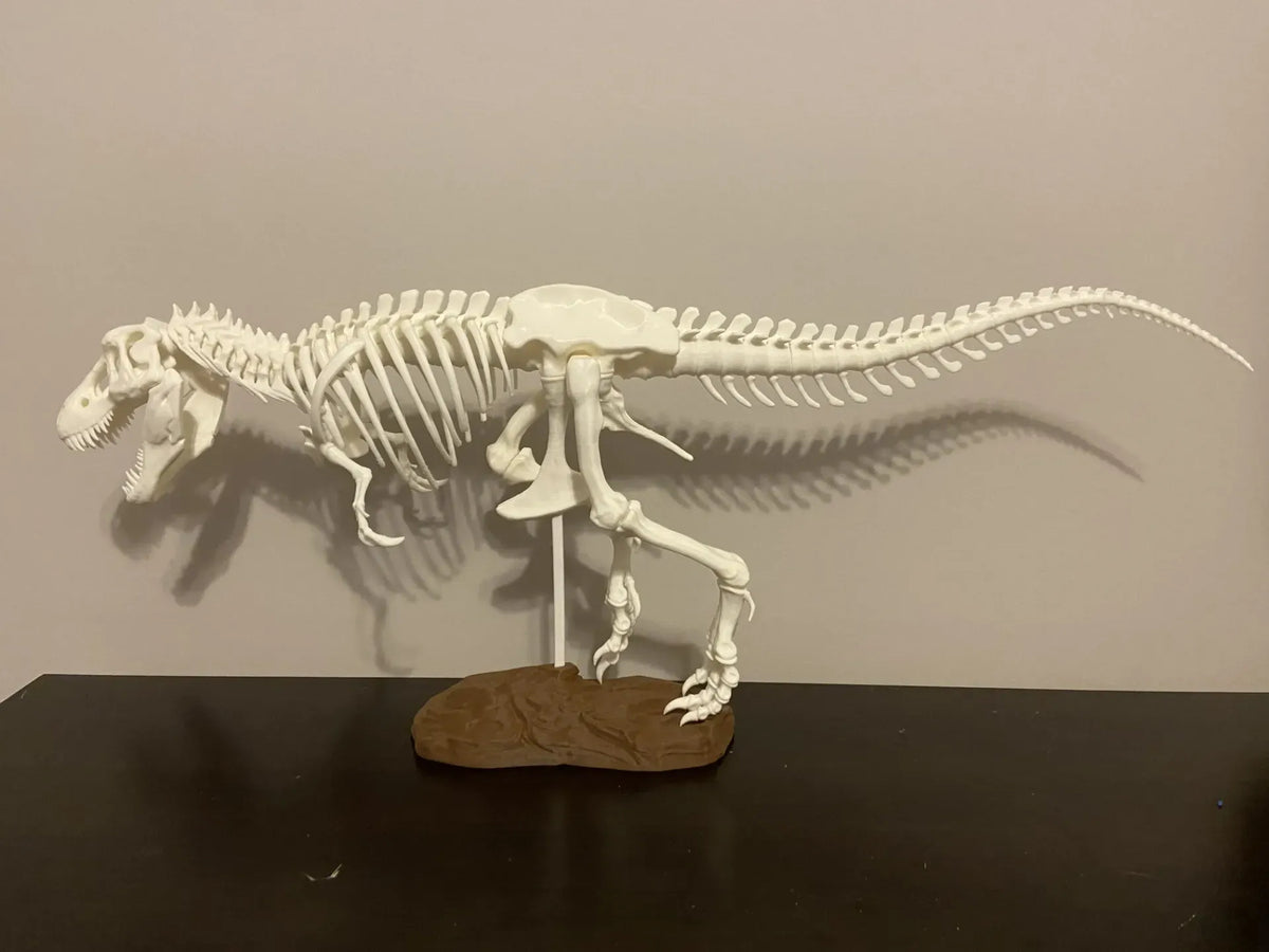 Squelette de Tyrannosaurus Rex renforcé à 250% - Maquette Print