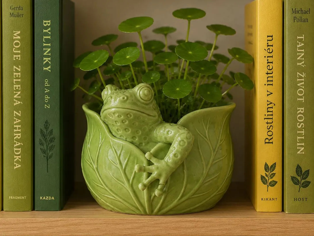 Jardinière Mignonne Grenouille Pot Bol Grenouille Décoration de Jardinière - Geek Print