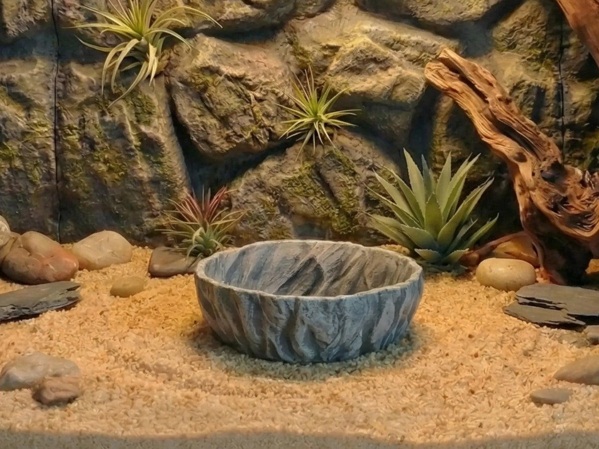 Bol d'eau texturé roche naturelle pour reptiles de terrarium - Pet Print
