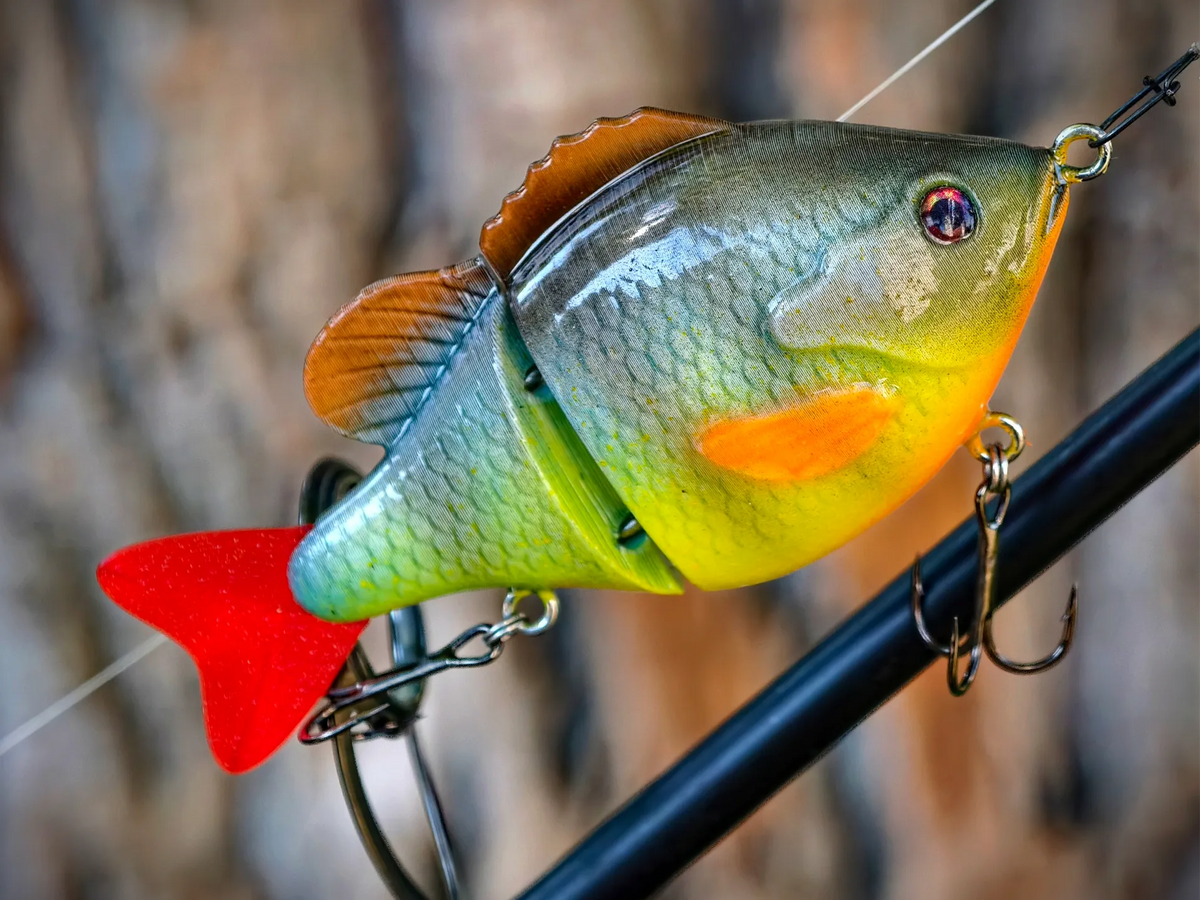 Leurre de pêche Bluegill Glidebait - Outdoor Print