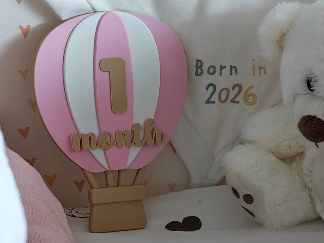 Ensemble de jalons mensuels pour bébé montgolfière (1-12) - Bébé Print