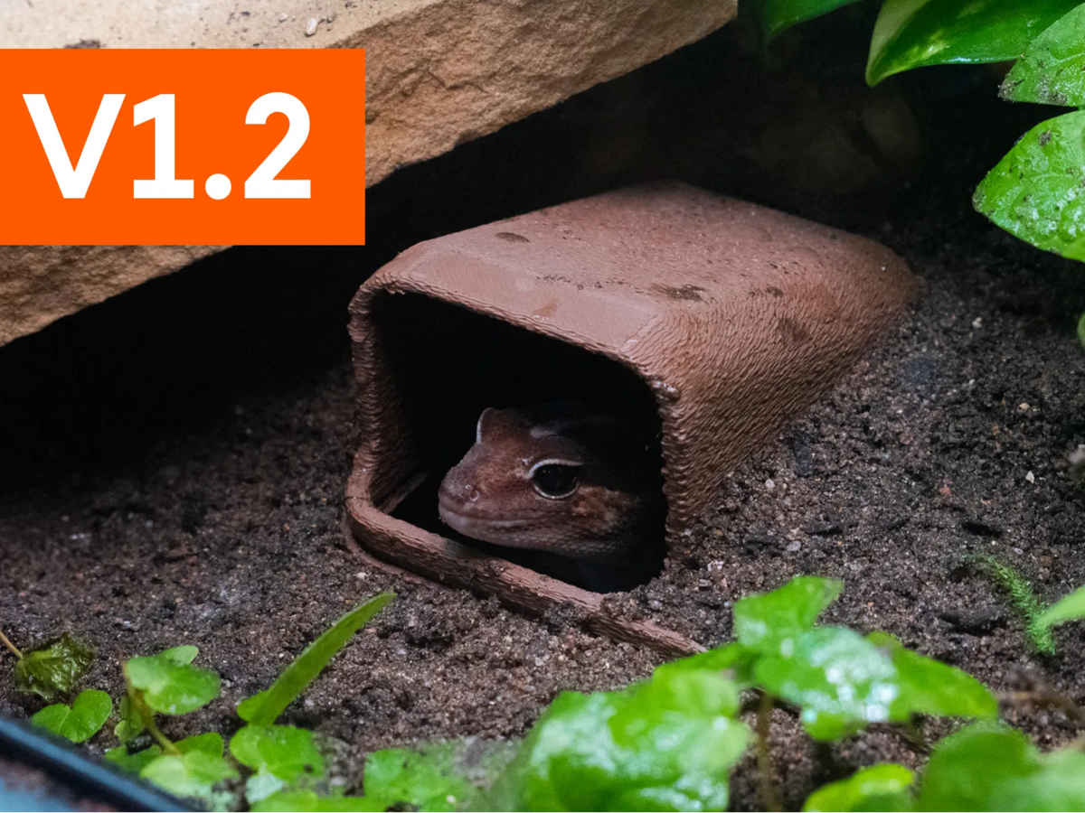 Cachette Souterraine pour Reptiles - Pet Print