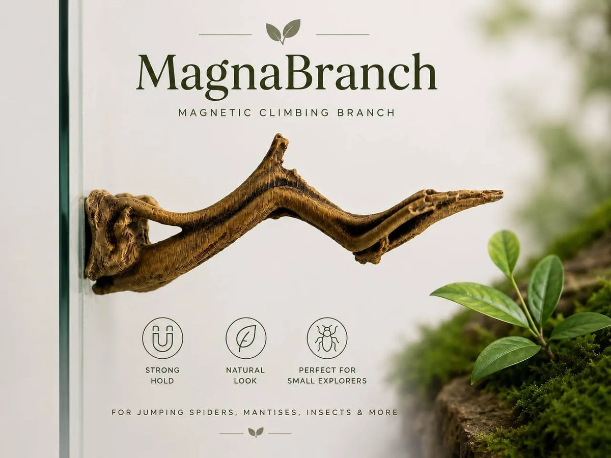 Branche d'escalade magnétique pour terrariums - Pet Print