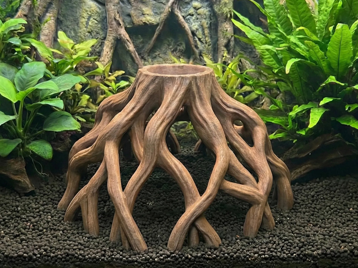 Décoration d'aquarium cachette souche de palétuvier naturelle - Pet Print