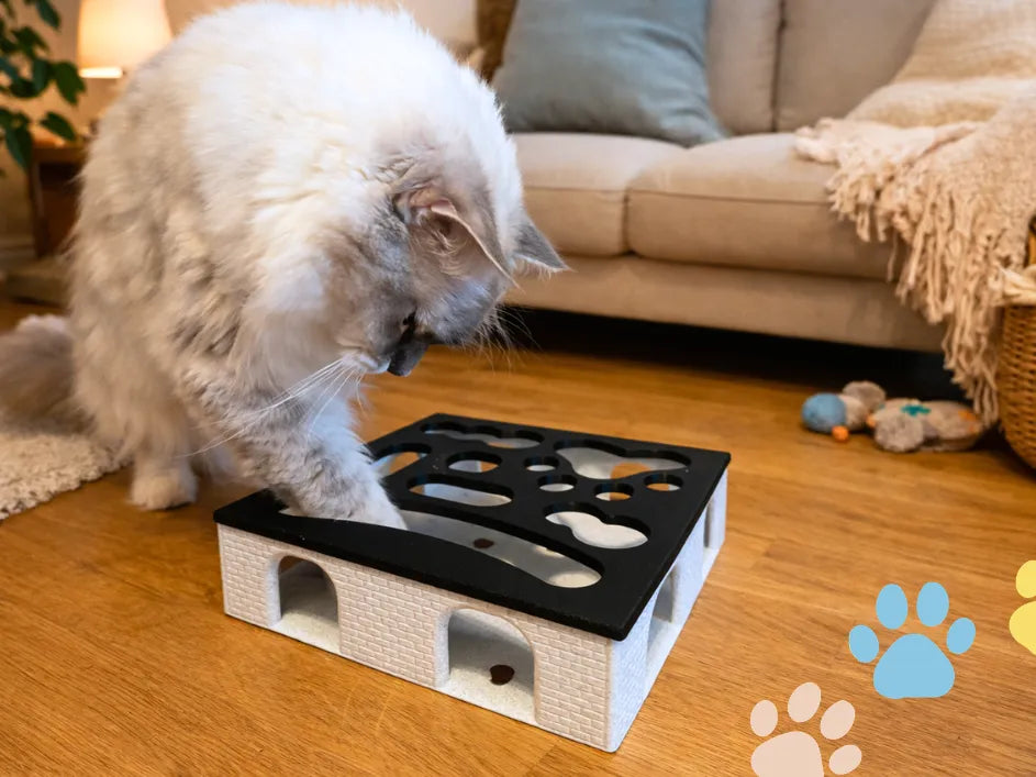 Jouet interactif pour chat / Distributeur lent - Pet Print