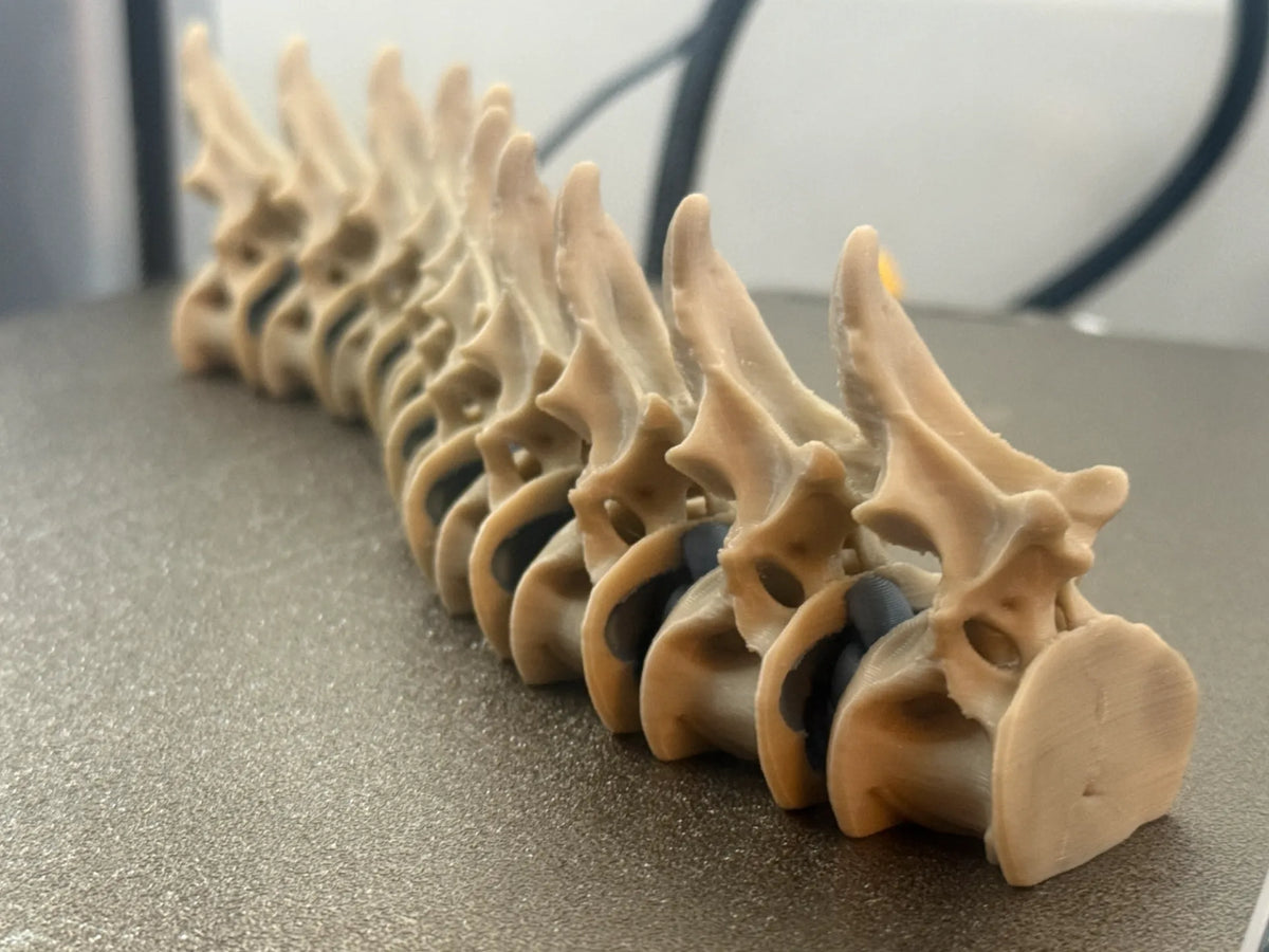 Fidget flexible de stimulation en épine dorsale de dinosaure (Style Dragon) - Maquette Print