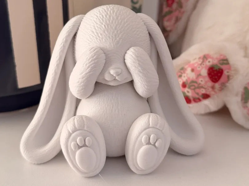 Lapin Coucou – Décoration Mignonne pour Chambre d'Enfant - Maison Print