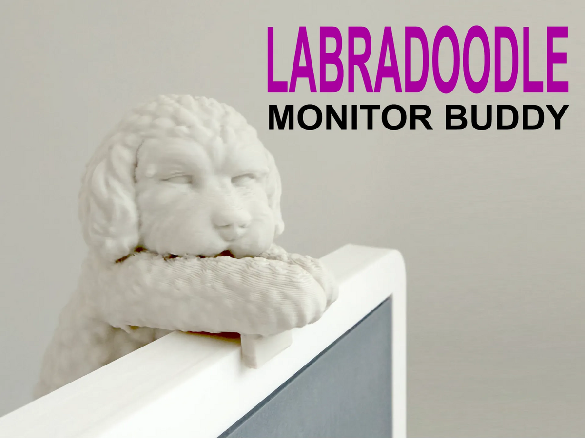 Copain Moniteur Labradoodle - Figurine Print